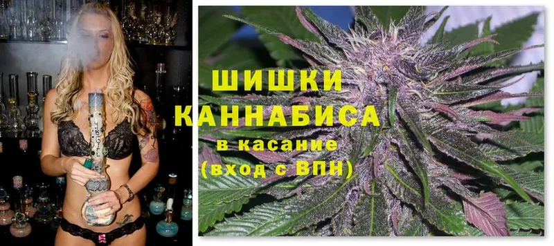 Бошки марихуана OG Kush  Абаза 